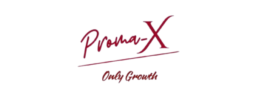 logo removebg preview